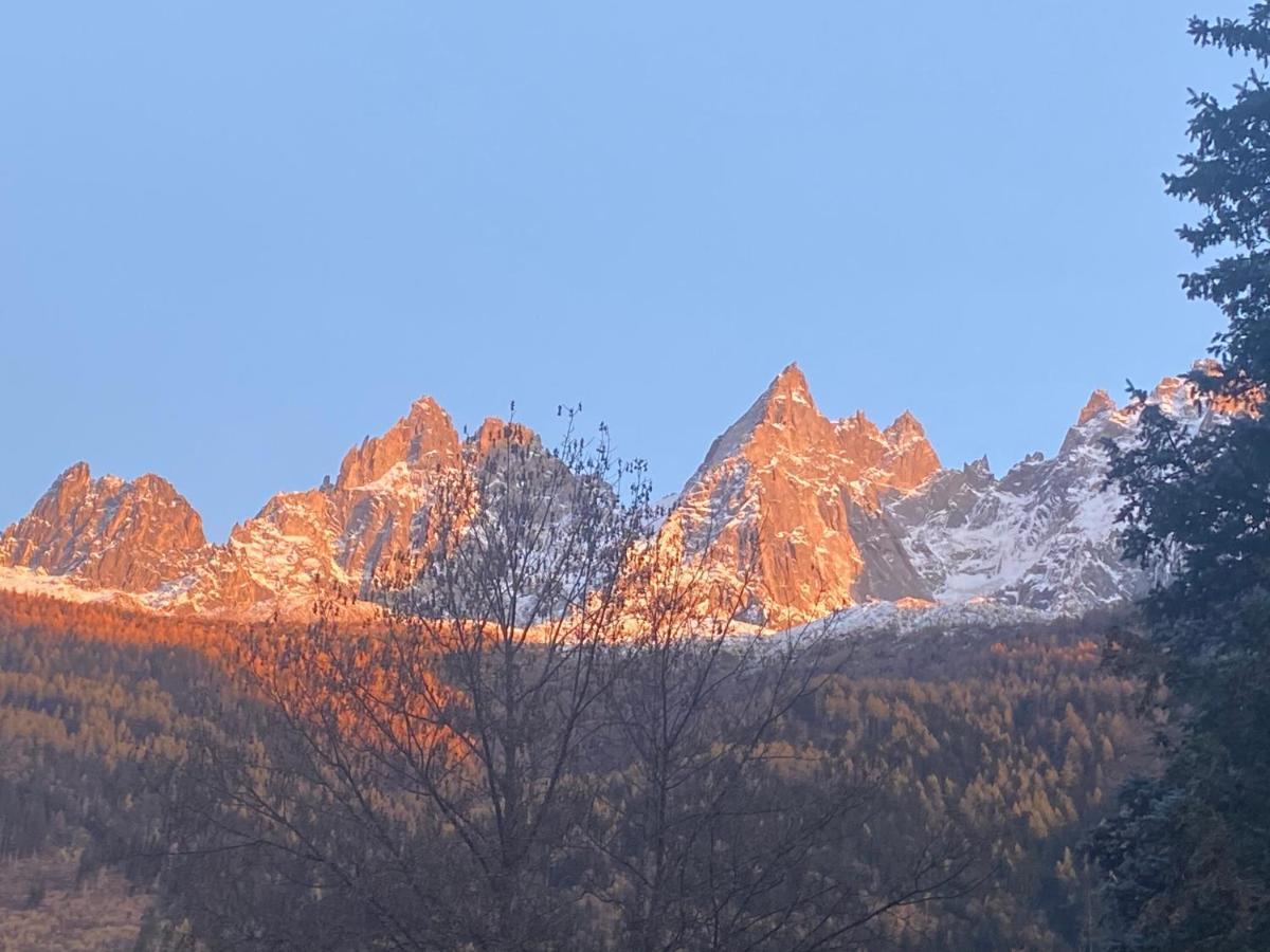 Chamonix - Majestic Vue Mont Blanc Apartment ภายนอก รูปภาพ